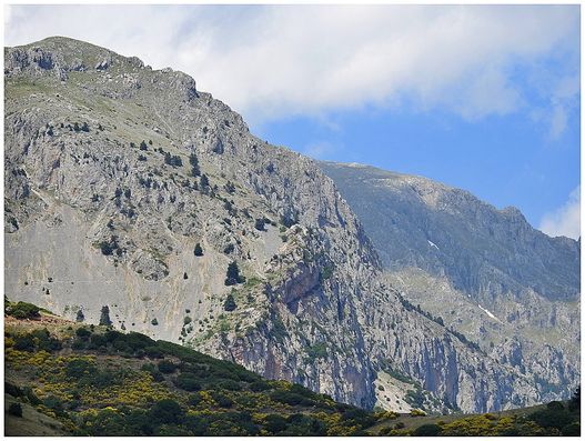 Parnassus seen from Arachova.