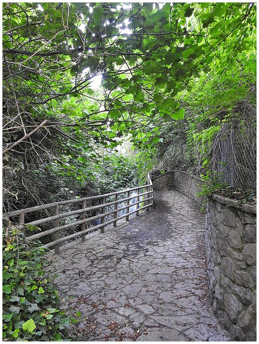 The path (by the stream) leading to the waterfalls.