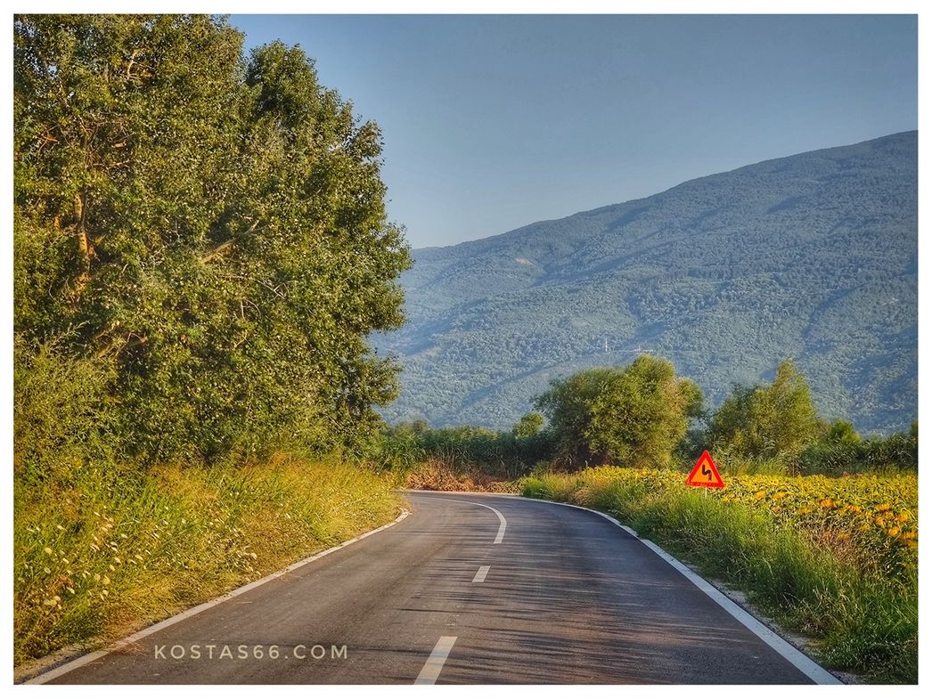 On the road from Alexandrini to Paleopirgos.