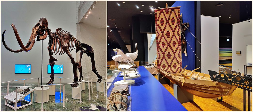 Inside Hokkaido Museum.