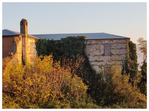 The Favre mansion (back).