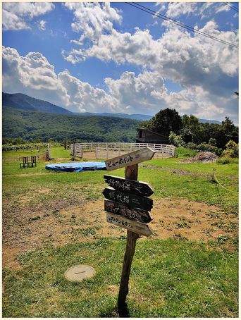 Hopi Hills farm.