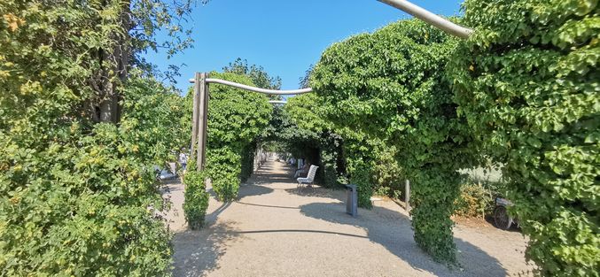 Promenade - Ahlbeck