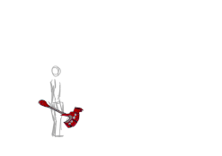 animation