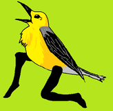 yet another bird, then