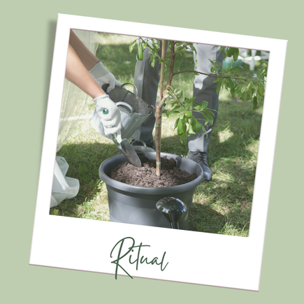 Das Ritual "Baum pflanzen" in der  Trauung. kreative-trau-m-zeremonie