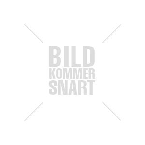 Suppleant: Alfons Thomsen