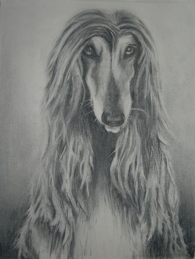 "Ready for the dog show"
Kr. 1600. Innrammet. Antatt på Romeriksuts. 
Kull, 30x40cm