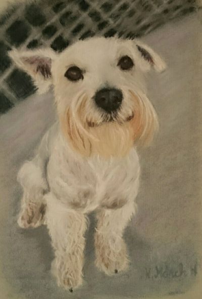 Give me a hug
Pastellkritt.
Kr 1200 ferdig innrammet.
Str. 30 x 40 cm.