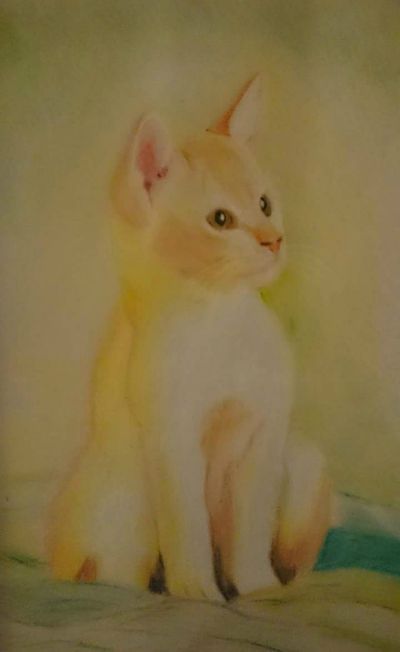 " Kitten"
Kr 900,- med passapatur og hvit ramme.
fargeblyanter.
