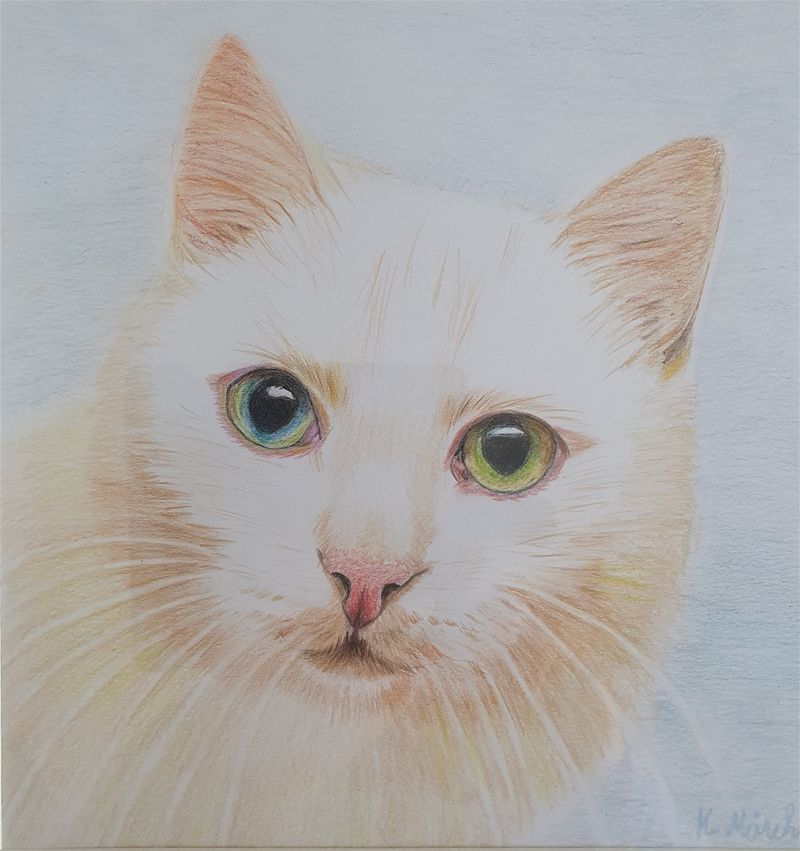 Fargeblyanter.
30 x 30 cm med passepatour og hvit ramme.
Kr 900,-