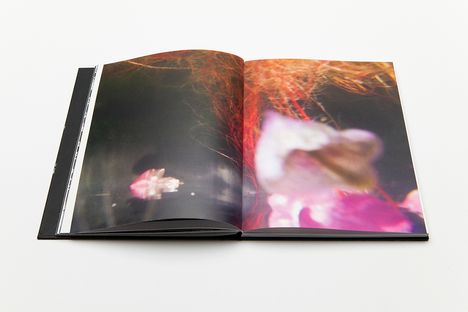 Buch3