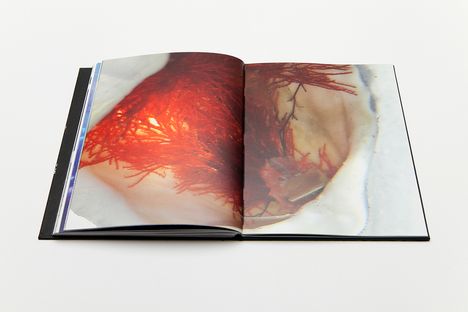 Buch7