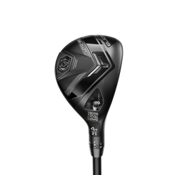 DS ADAPT HYBRID