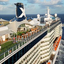 Celebrity Reflection