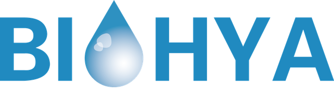 BIOHYA-ORGANISCHE NANO HYALURON