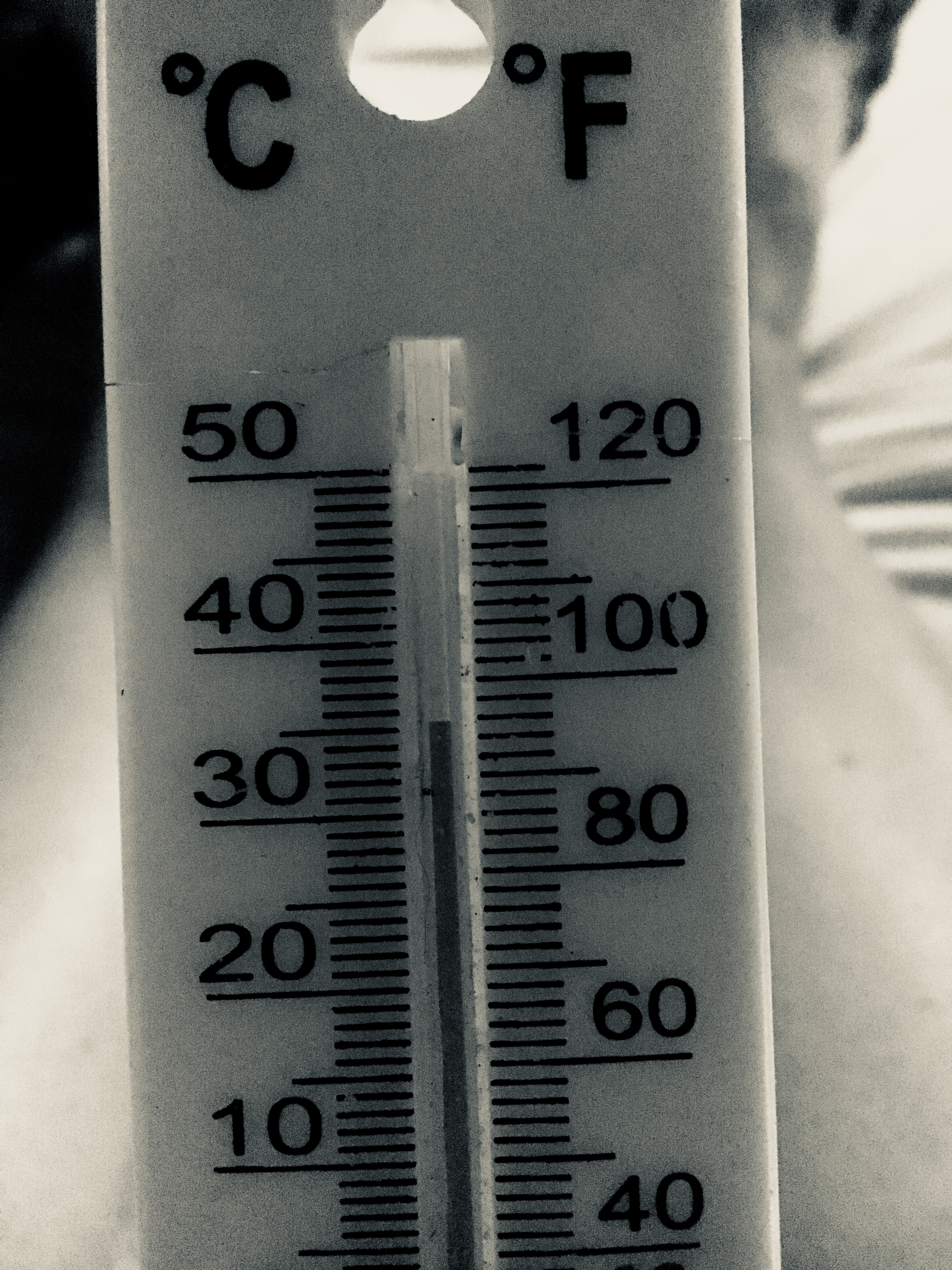 fullsizeoutput_4f8f