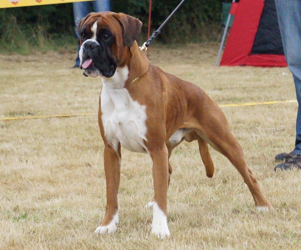 bugsy5