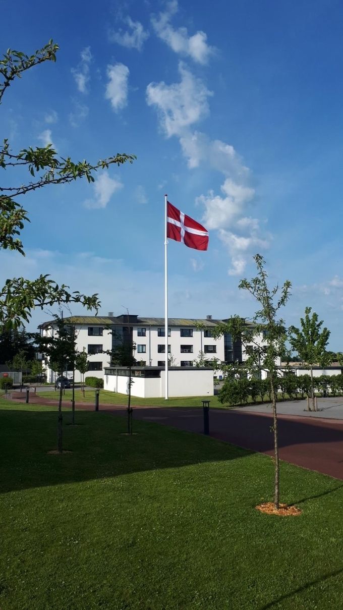 Dannebrogs 800 års fejring