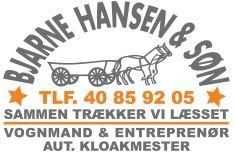 Bjarne HansenLogo