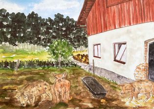 Akvarell05