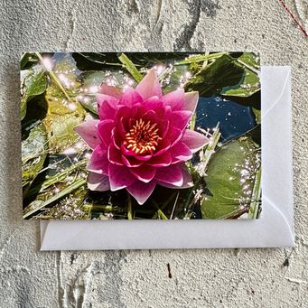 Seerose, Kunstkarte  A7