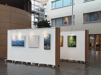 Zee Kust Land Tholen gemeentehuis 2025