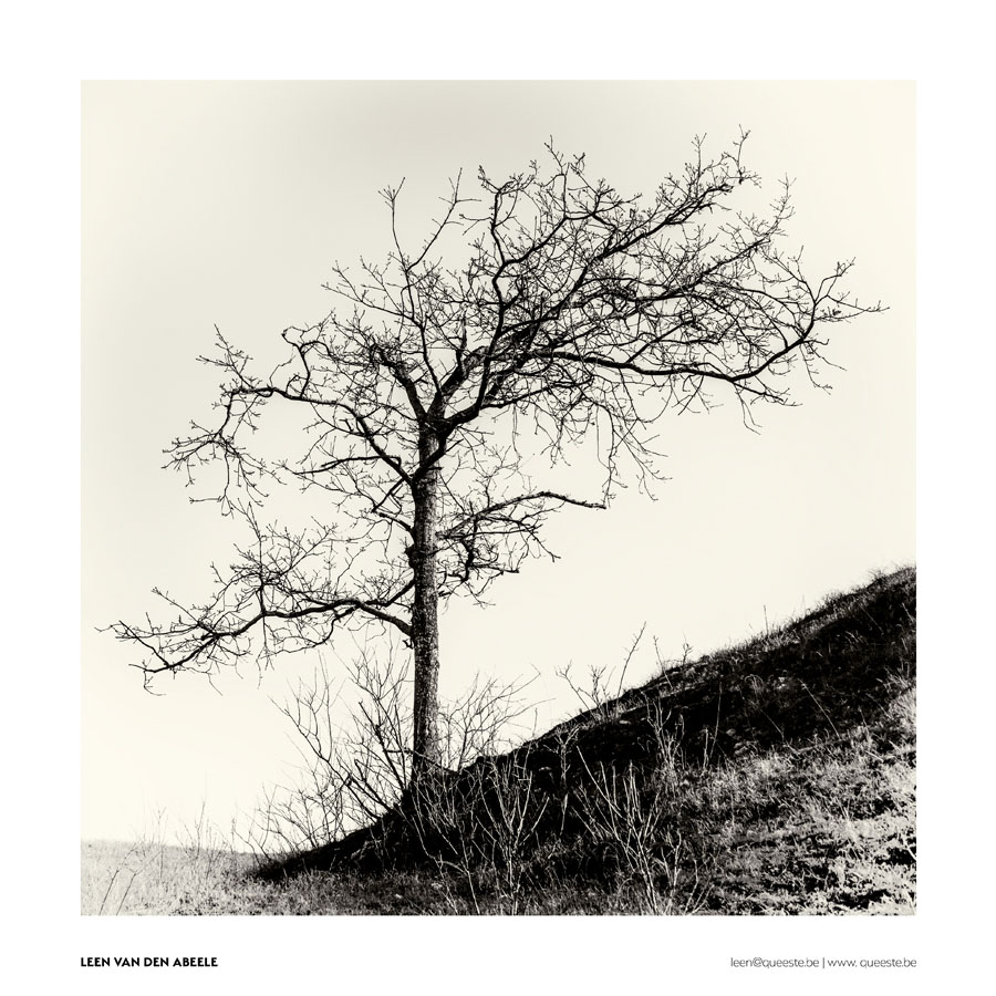 038_KPE - VERKOCHT -