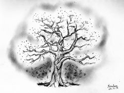 Baum 1