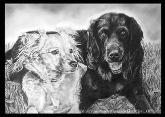 Hermine & Odin