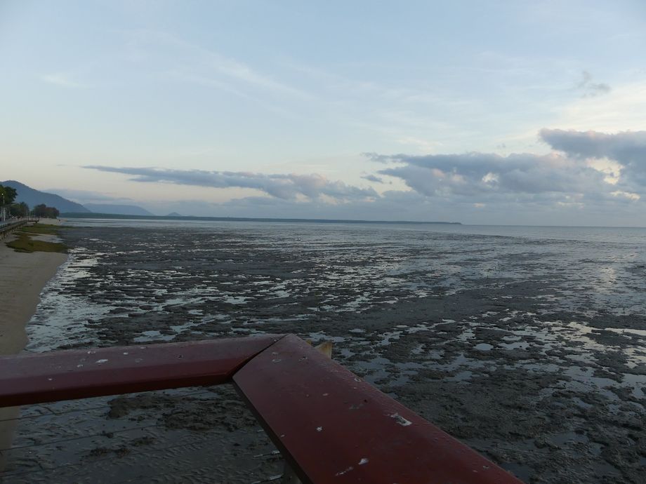 Stranden i Cairns var inte badbar eftersom 