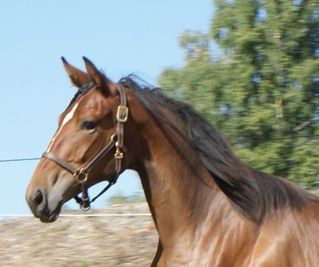 Vakre Gaviria som åring