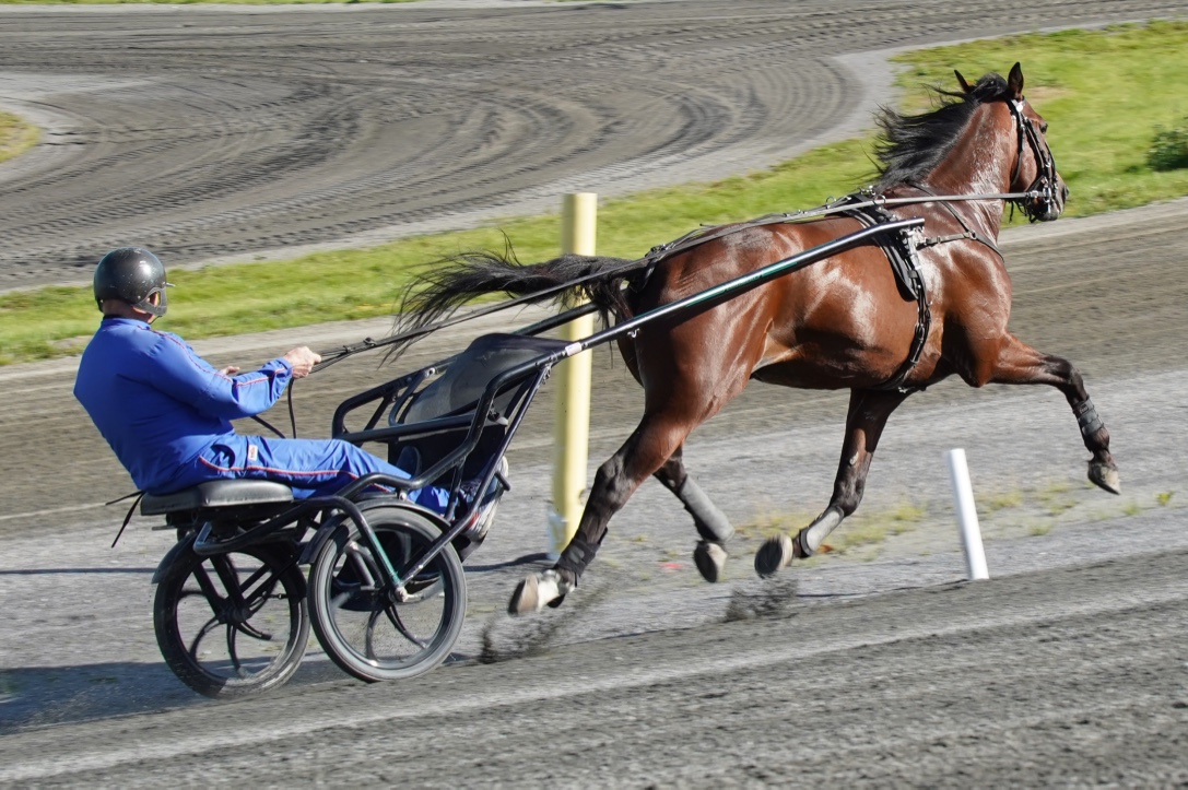 Viviani er for prøveløp 