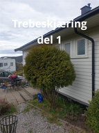 Trebeskjæring