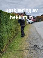 Hekk