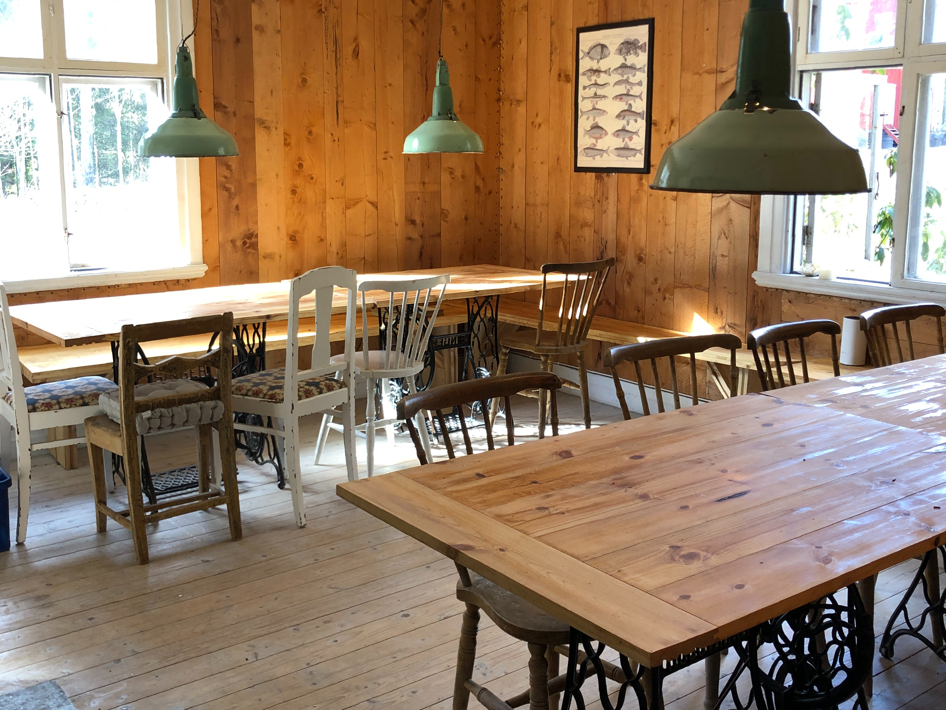 IMG_5064___serialized1