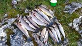 Ørretfangst i et vann i Kvalsund