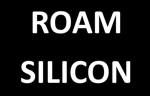 RoamSilicon_2