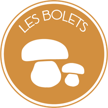 Logo orange Les Bolets