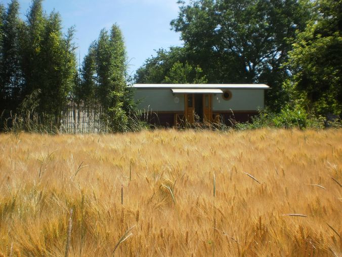 la nature à portée de main