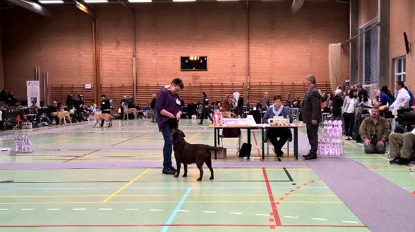 (foto: Ulla Rosenlund Knudsen)