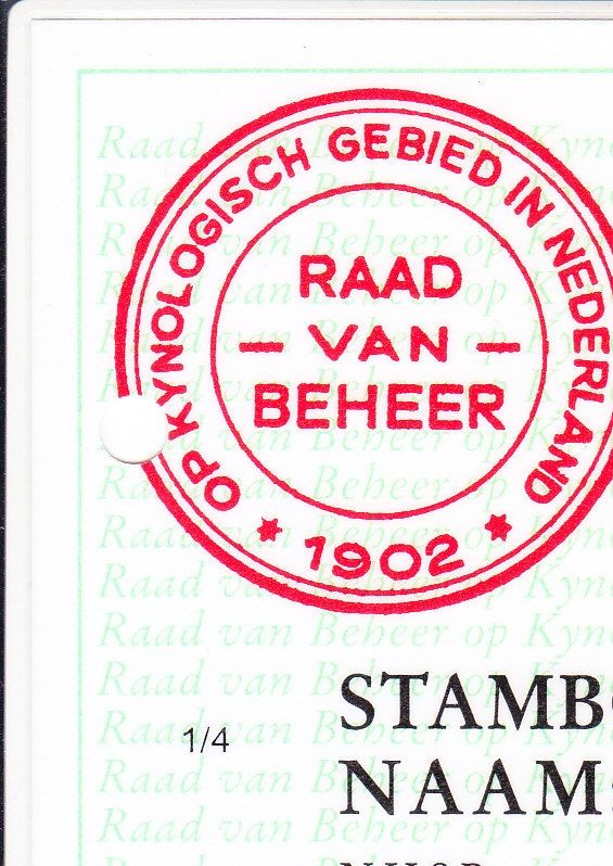Stamboom bruine labrador Sarah