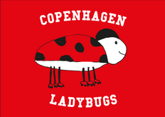 Ladybugs Roller Derby