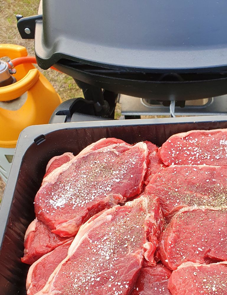 Efter generalforsamlingen var økonomien til grillbøffer.