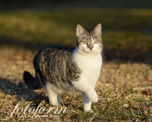 Tyra_DSC9566