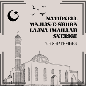 Nationell Majlis-e-Shura Lajna Imaillah 