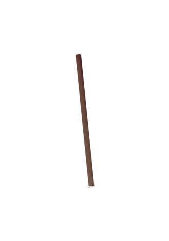 10019005