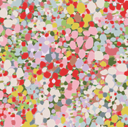 11899015 skærm røde blomster