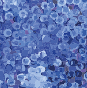 12139018 skærm Blå hortensia