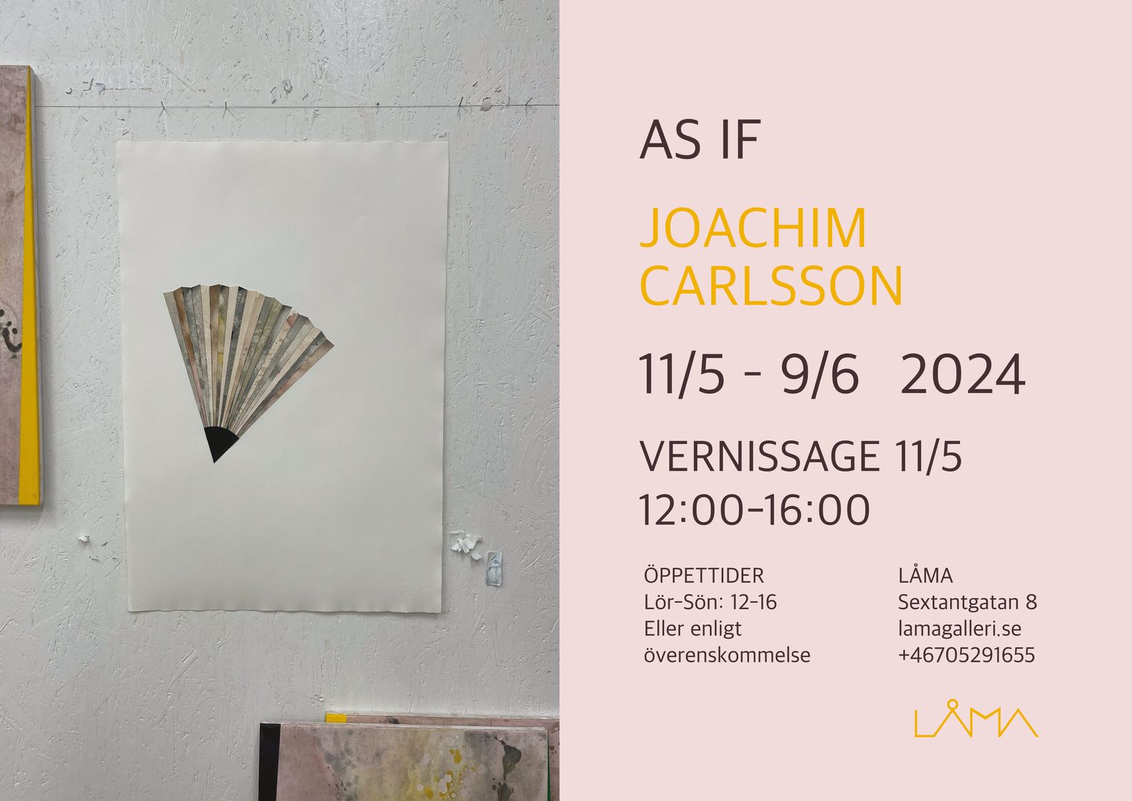 Joachim Carlsson_kort5